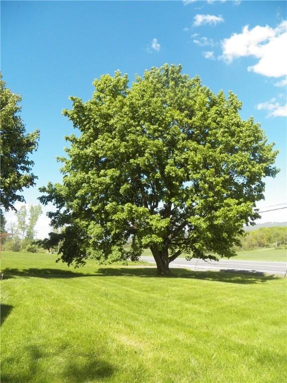 5400 County Road 37, Richmond, NY 14466 - view of grassy yard