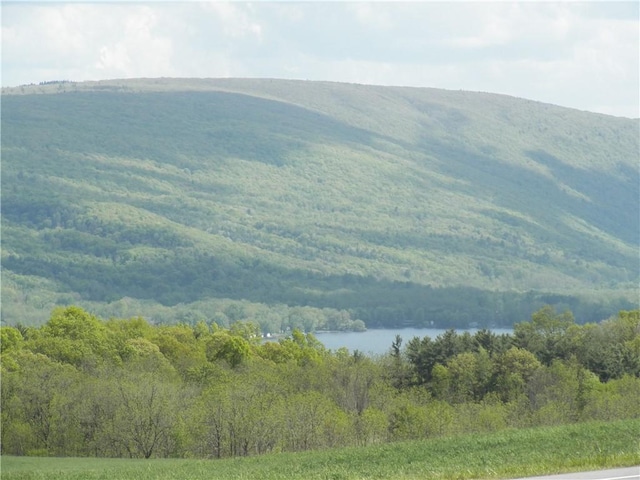 5400 County Road 37, Richmond, NY 14466 - view of mountain backdrop featuring a heavily wooded area and a large body of water