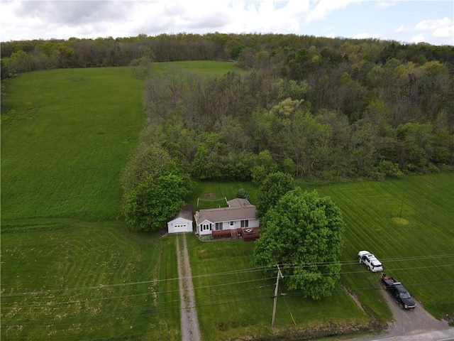 5400 County Road 37, Richmond, NY 14466 - view of rural area featuring a forest