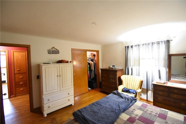 806 Mount Zoar St, Southport, NY 14904 - bedroom with wood finished floors, multiple windows, and a spacious closet