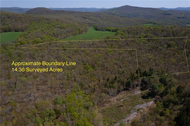 Stanley Campbell Rd, Delhi, NY 13753