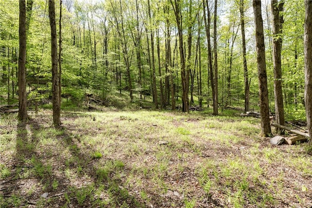 Stanley Campbell Rd, Delhi, NY 13753