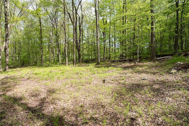 Stanley Campbell Rd, Delhi, NY 13753