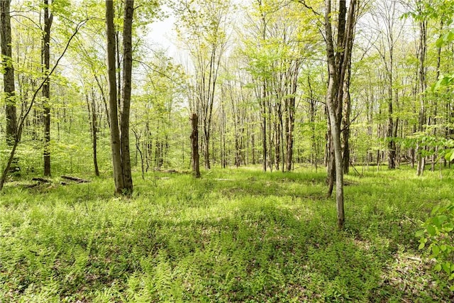 Stanley Campbell Rd, Delhi, NY 13753