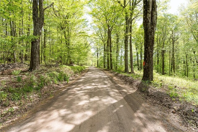 Stanley Campbell Rd, Delhi, NY 13753