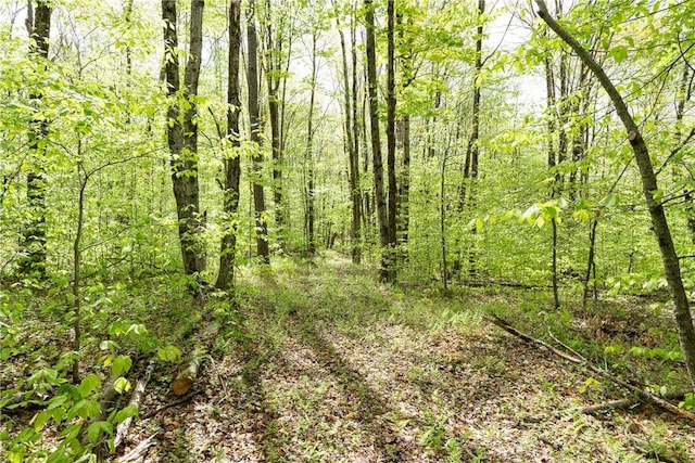 Stanley Campbell Rd, Delhi, NY 13753