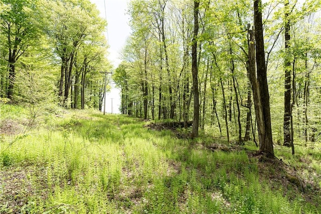Stanley Campbell Rd, Delhi, NY 13753
