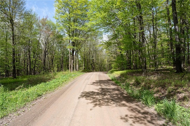 Stanley Campbell Rd, Delhi, NY 13753
