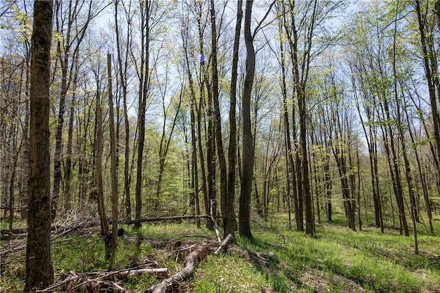 Stanley Campbell Rd, Delhi, NY 13753