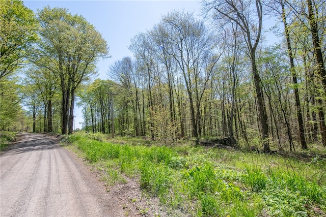 Stanley Campbell Rd, Delhi, NY 13753
