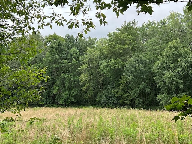 Stanley Campbell Rd, Delhi, NY 13753