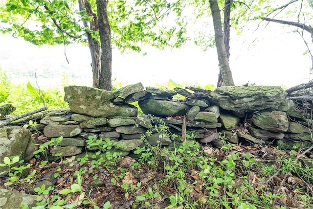 Stanley Campbell Rd, Delhi, NY 13753