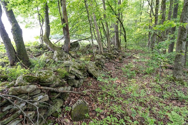 Stanley Campbell Rd, Delhi, NY 13753