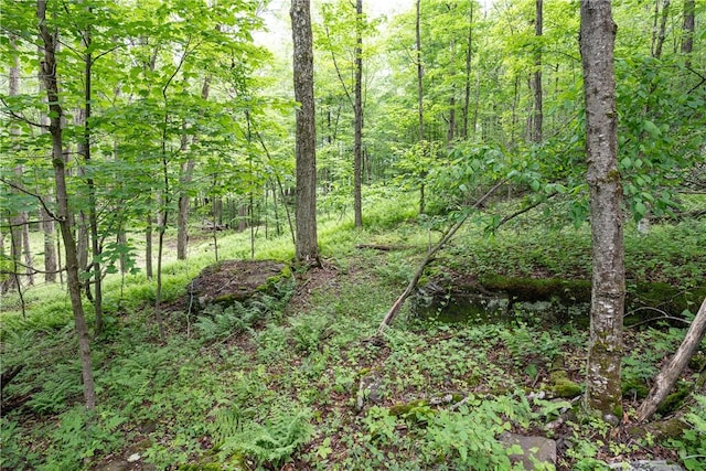 Stanley Campbell Rd, Delhi, NY 13753