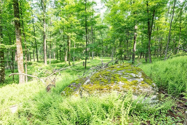 Stanley Campbell Rd, Delhi, NY 13753
