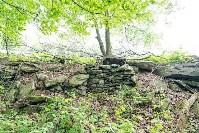 Stanley Campbell Rd, Delhi, NY 13753