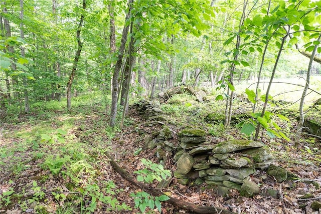 Stanley Campbell Rd, Delhi, NY 13753