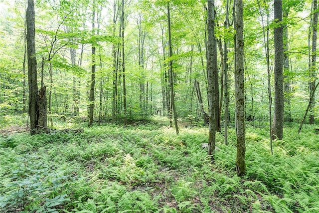 Stanley Campbell Rd, Delhi, NY 13753