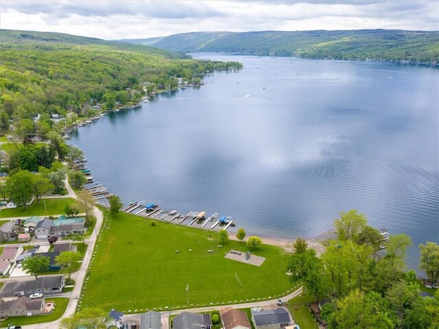 8521 W Buckingham St, Richmond, NY 14471 - aerial view of a nearby body of water and a forest