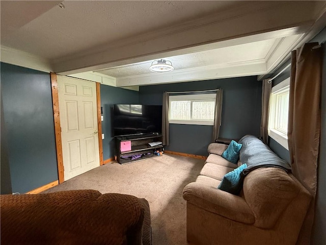 760 Spruce St, Southport, NY 14904 - carpeted living area featuring baseboards and crown molding