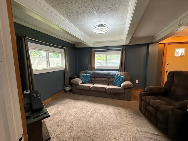 760 Spruce St, Southport, NY 14904 - carpeted living room featuring healthy amount of natural light, crown molding, and baseboards