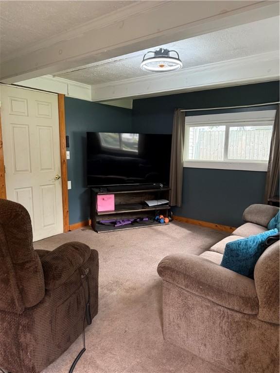 760 Spruce St, Southport, NY 14904 - living room with baseboards, carpet floors, beam ceiling, a textured ceiling, and ornamental molding