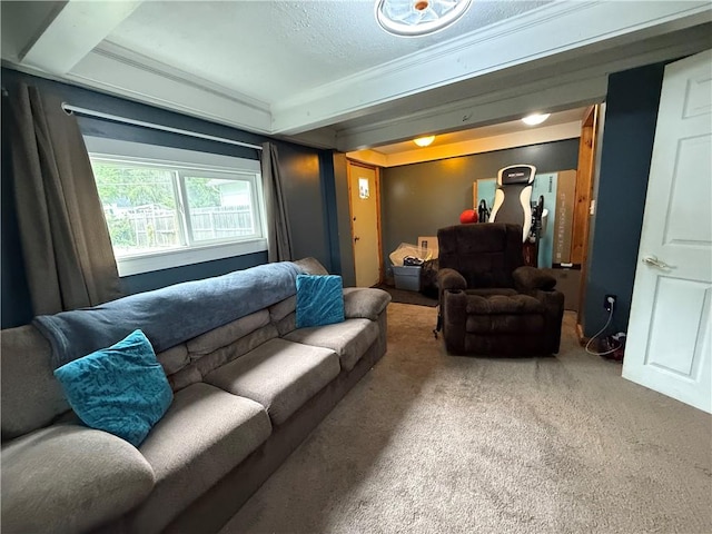760 Spruce St, Southport, NY 14904 - living area with carpet flooring, ornamental molding, and a textured ceiling