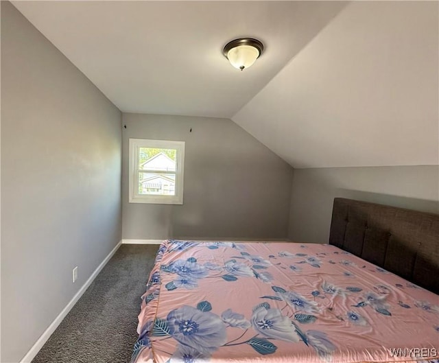 101 Spruce St, Lackawanna, NY 14218 - bedroom with carpet, lofted ceiling, and baseboards