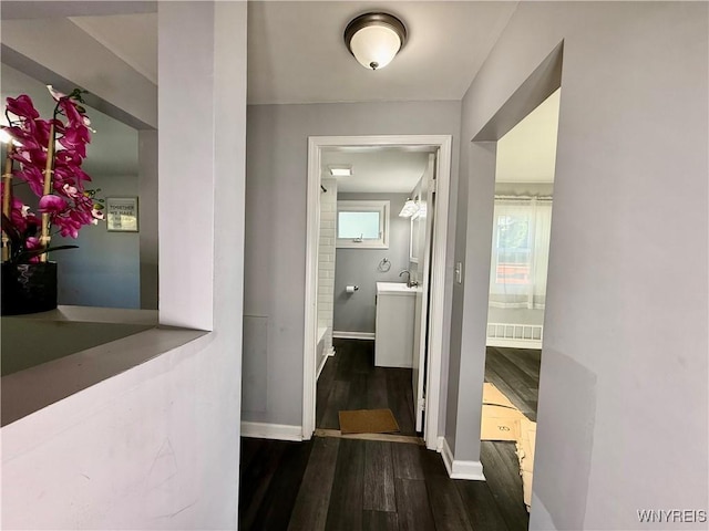 101 Spruce St, Lackawanna, NY 14218 - hallway with dark wood-style flooring, baseboards, and a sink
