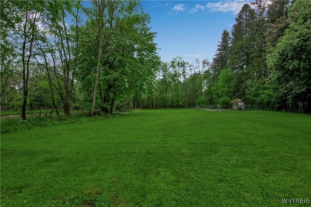 view of grassy yard with a wooded view
