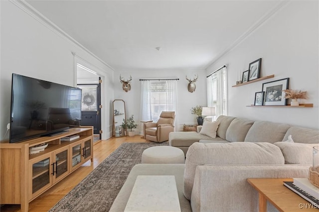 living area featuring ornamental molding and light wood finished floors