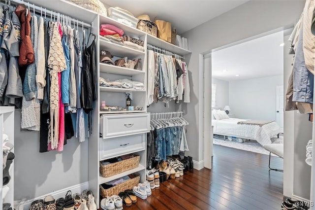 spacious closet featuring dark wood finished floors