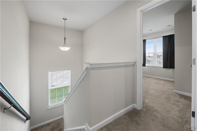 staircase featuring carpet flooring and baseboards
