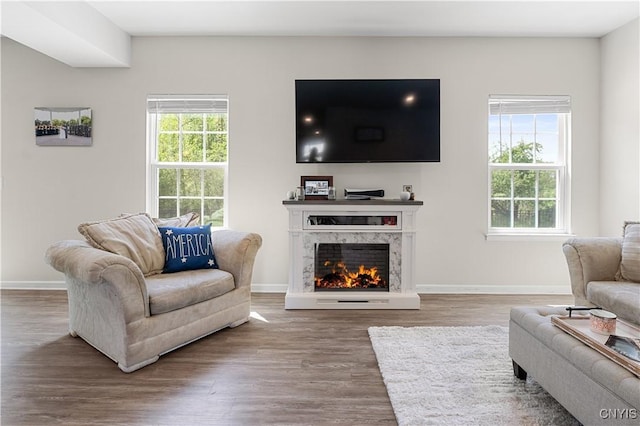 living room with healthy amount of natural light, wood finished floors, and baseboards