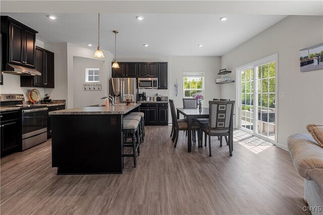 kitchen with appliances with stainless steel finishes, under cabinet range hood, wood finished floors, and recessed lighting