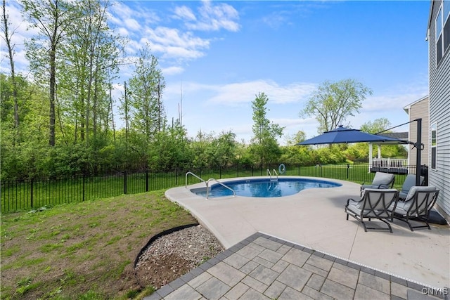 view of pool with a patio area