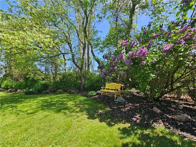 4862 Cross St, Campbell, NY 14821 - view of green lawn