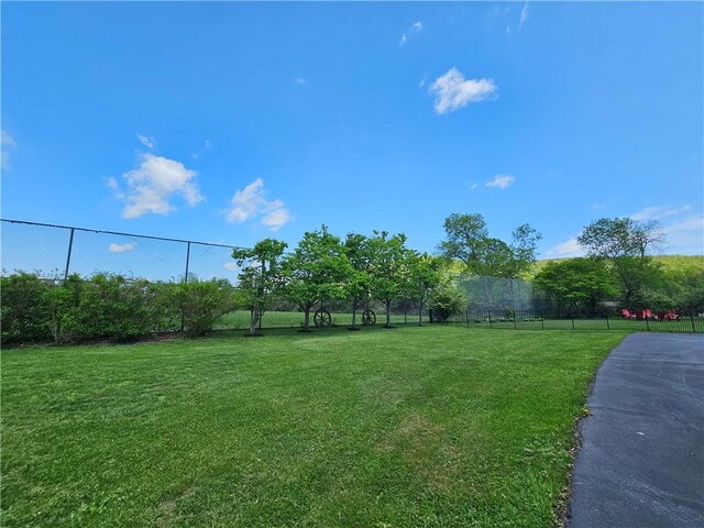 4862 Cross St, Campbell, NY 14821 - view of yard