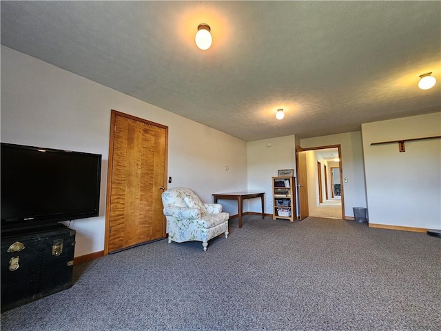 4862 Cross St, Campbell, NY 14821 - sitting room featuring carpet floors, baseboards, and a textured ceiling