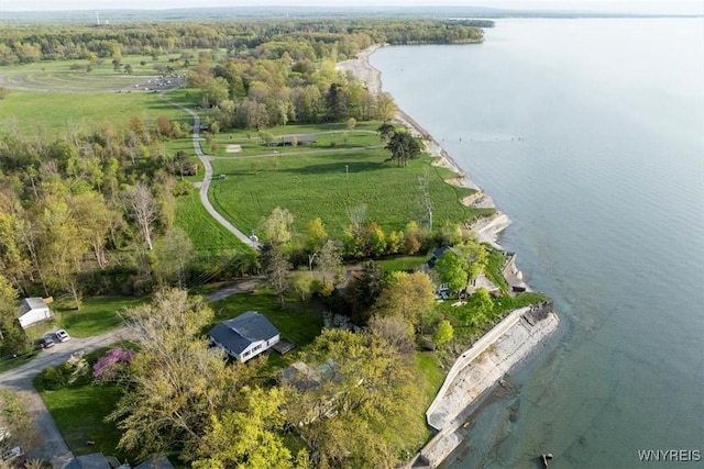9910 Shorecliff Rd, Evans, NY 14006 - aerial view of property's location with a nearby body of water