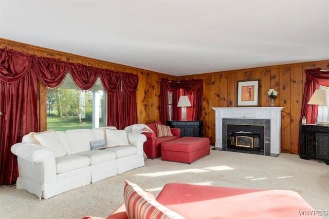 9910 Shorecliff Rd, Evans, NY 14006 - living room featuring carpet floors, wooden walls, and a premium fireplace