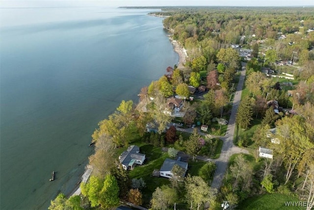 9910 Shorecliff Rd, Evans, NY 14006 - aerial view of property and surrounding area with a nearby body of water and a heavily wooded area