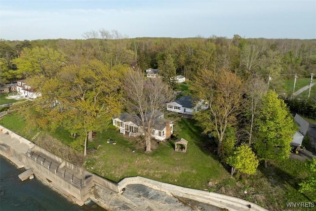 9910 Shorecliff Rd, Evans, NY 14006 - aerial overview of property's location with a forest and a large body of water