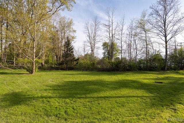 9910 Shorecliff Rd, Evans, NY 14006 - view of green lawn