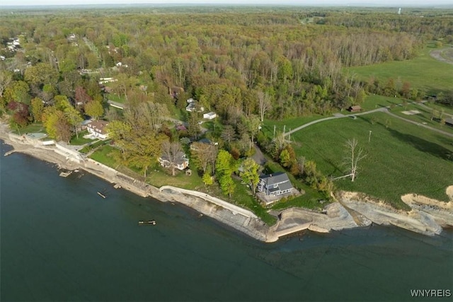 9910 Shorecliff Rd, Evans, NY 14006 - aerial overview of property's location with a heavily wooded area and a large body of water