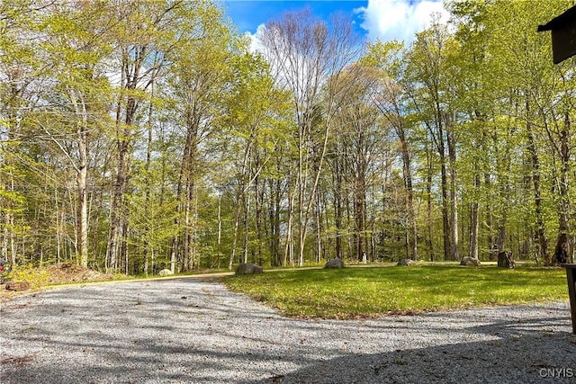 123 Mohawk Dr W, Webb, NY 13420 - view of road with a wooded view