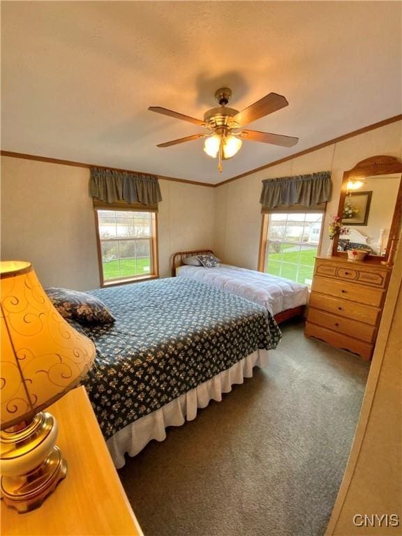 2570 Humphrey Rd, Cape Vincent, NY 13618 - bedroom with crown molding, carpet, and ceiling fan