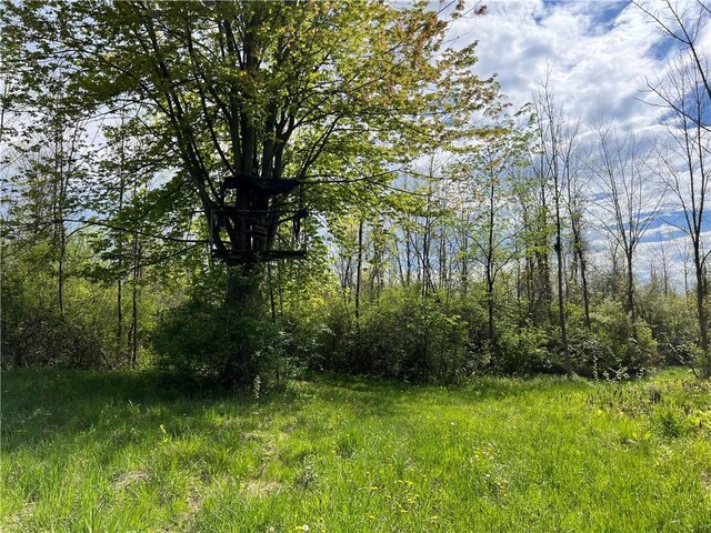 200 Burritt Rd, Parma, NY 14468