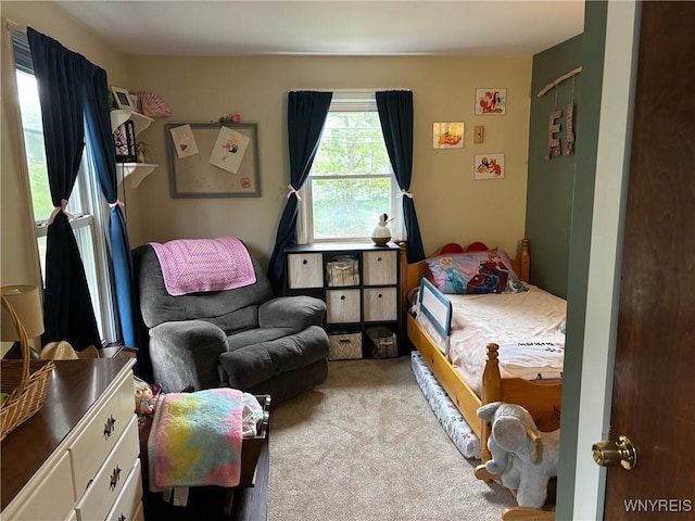 158 E Main St, Concord, NY 14141 - bedroom featuring carpet flooring