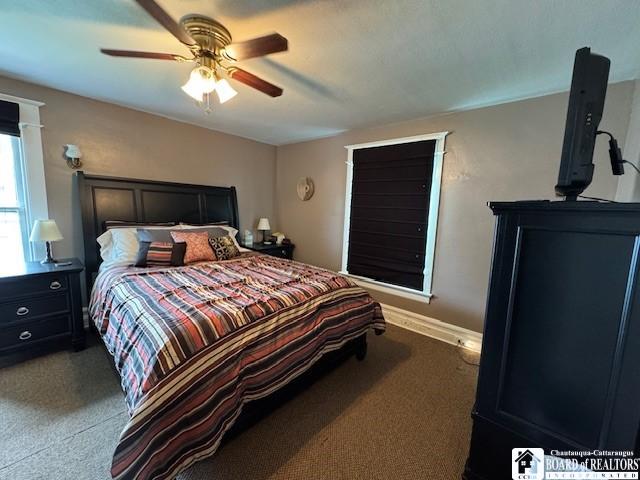 416 Robin St, Dunkirk-City, NY 14048 - bedroom with carpet flooring, ceiling fan, and baseboards
